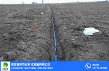 湖北灌溉 灌溉工程 湖北春苏农业科技 多图